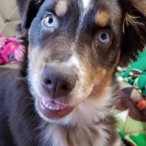 Meet your Posher, Corrin